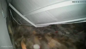 Sundurma Kar Kütlesinin Altında Kaldı