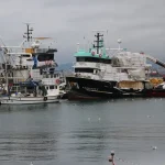 Tekirdağ’da Lodos Ulaşımı Aksatıyor