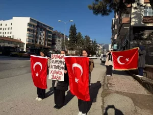 Tosya’da ‘Bayrak Sevgisi’ Etkinliği