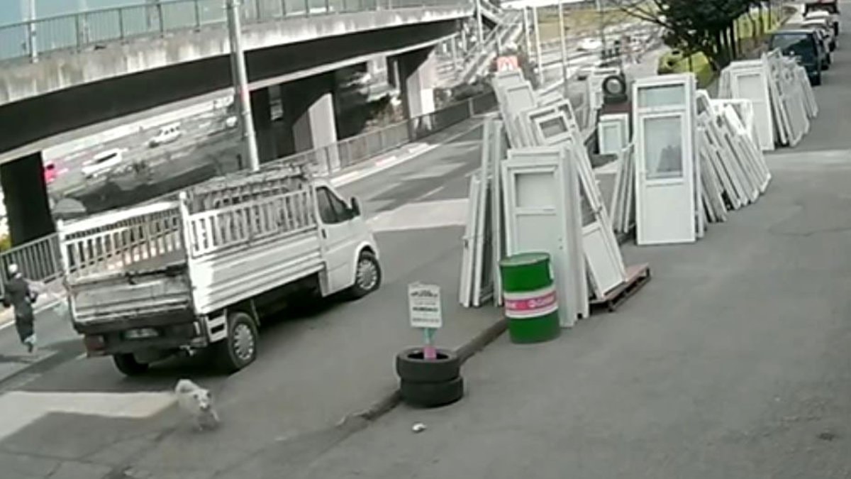 Trabzon’da başıboş köpek, can yaktı: Kaçarken otobüsün altında kaldı