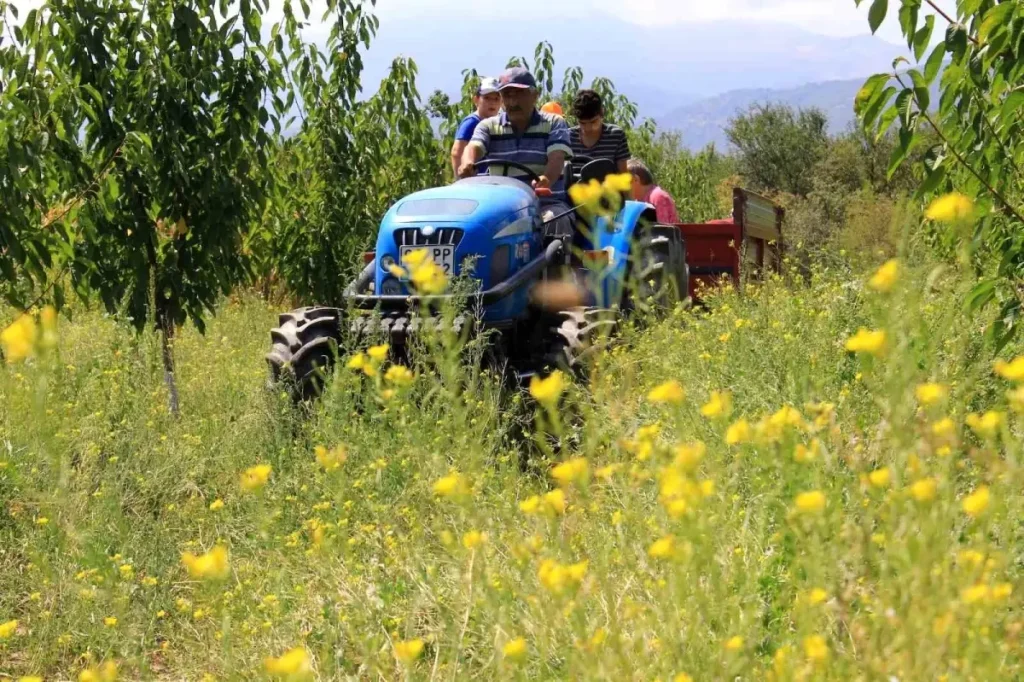 Traktör Sayısında Önemli Artış!