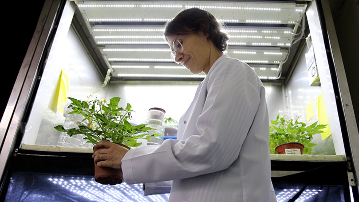 Türk bilim insanı, uzayda bitki yetiştirme çalışmalarına öncülük ediyor