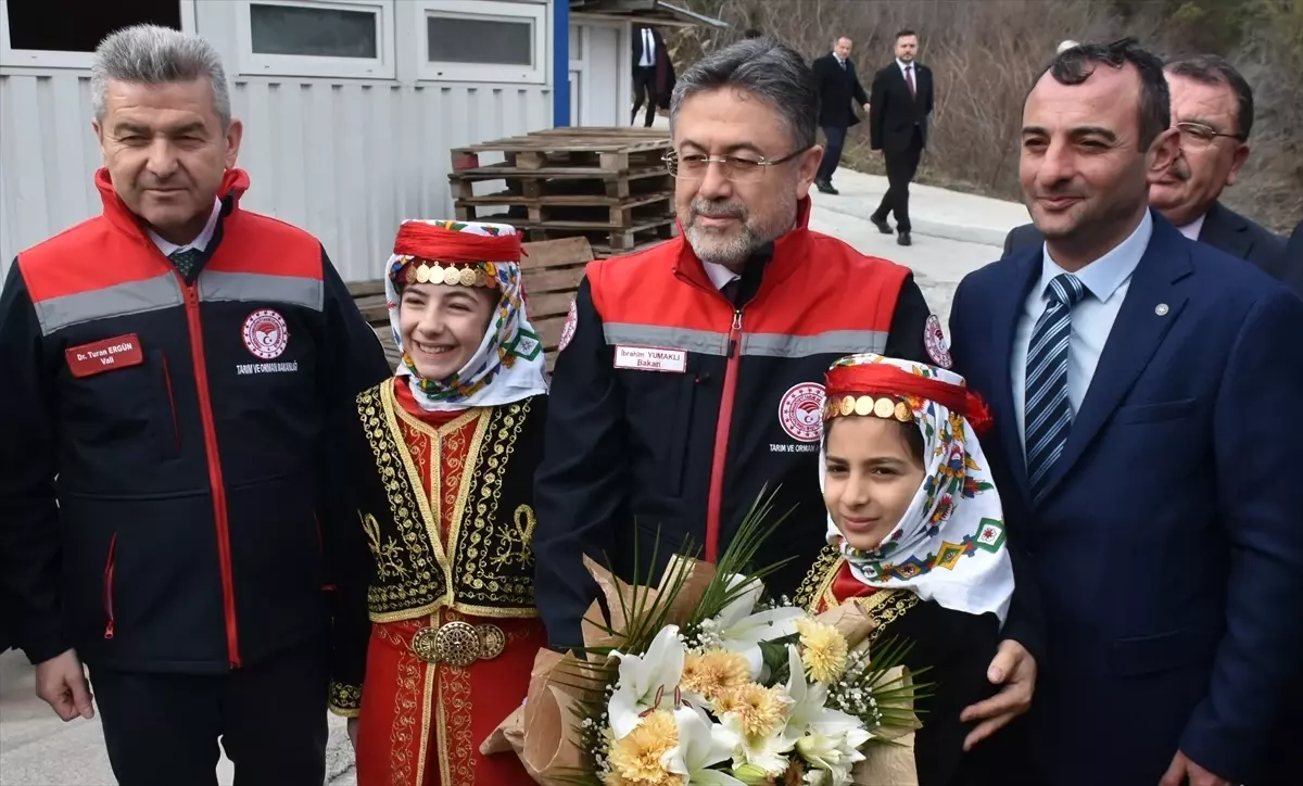 Türk Somonu İhracatı 500 Milyon Doları Bulacak