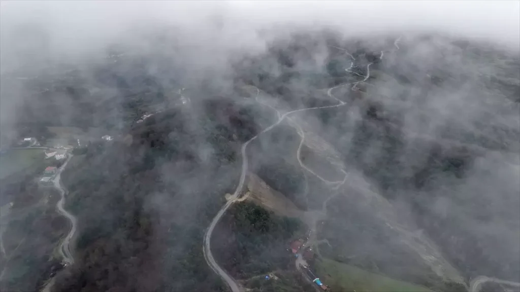 Türkeli’de Görülen Sis Manzaraları