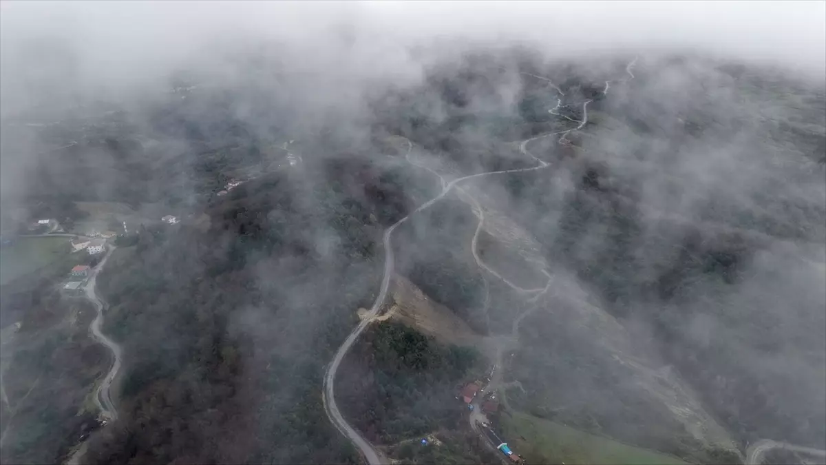 Türkeli’de Görülen Sis Manzaraları