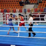 Türkiye Boks Şampiyonası’nda final heyecanı Darıca’da yaşanacak