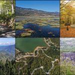 Türkiye’de korunan alanlara, Giresun ve Tokat’tan tabiat parkları eklendi