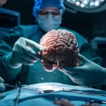 Ülkeyi alarma geçiren iddia! Beyin örnekleri ABD’ye gönderildi