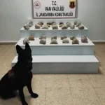 Uyuşturucu Operasyonlarında Büyük Başarı