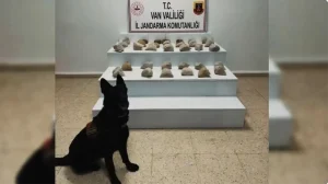 Uyuşturucu Operasyonlarında Büyük Başarı