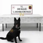 Van’da Eroinle Yakalanan İran Uyruklu Şüpheli