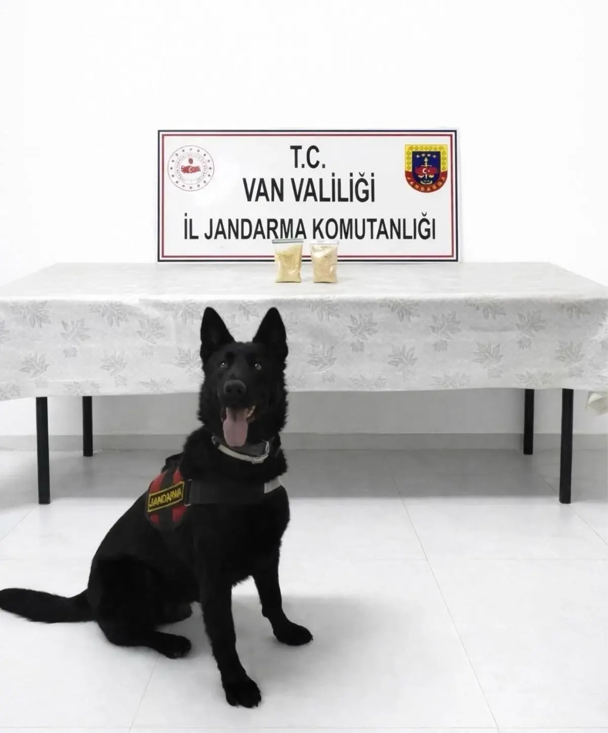 Van’da Eroinle Yakalanan İran Uyruklu Şüpheli