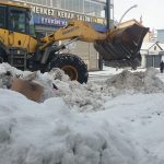 Van’da kar yağışı etkili oluyor