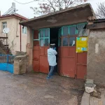 Veteriner Tüfeği İncerken Kendini Vurdu