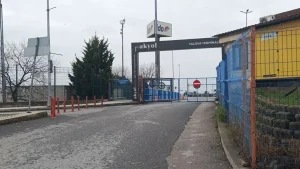 Yalova’da Deniz Yüzeyinde Kadın Cesedi Bulundu