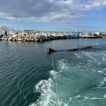 Yalova’da Denizden Ağaç Gövdesi Çıkartıldı