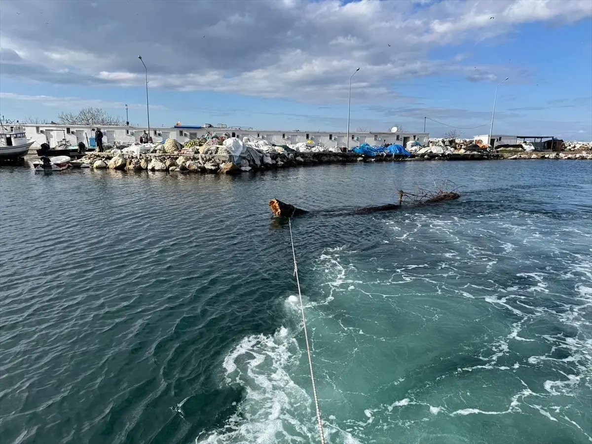 Yalova’da Denizden Ağaç Gövdesi Çıkartıldı