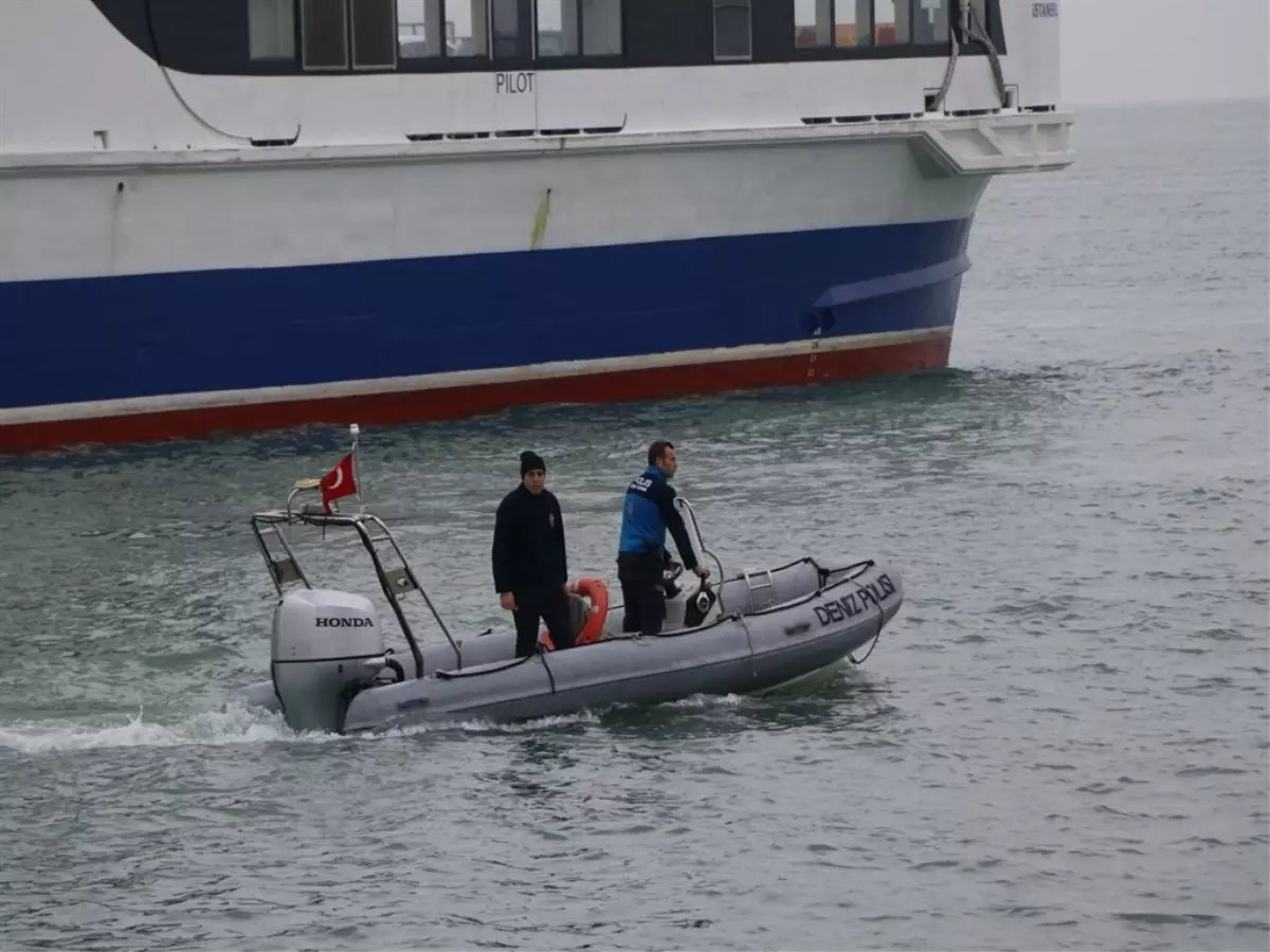 Yalova’da Kadın Cesedi Bulundu