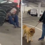 Yaşlı adamın yaptığı hem köpeğin hem de sahibinin ağızlarını açık bıraktı