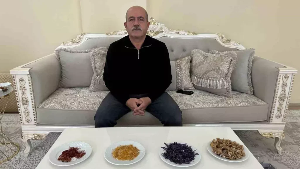 Yüksekova’da İnatla Safran ve Salep Başarısı
