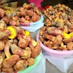 Yunnan’daki Mantarın Halüsinasyon Etkisi