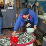 Zonguldak’ta Balık Fiyatları Yükseldi