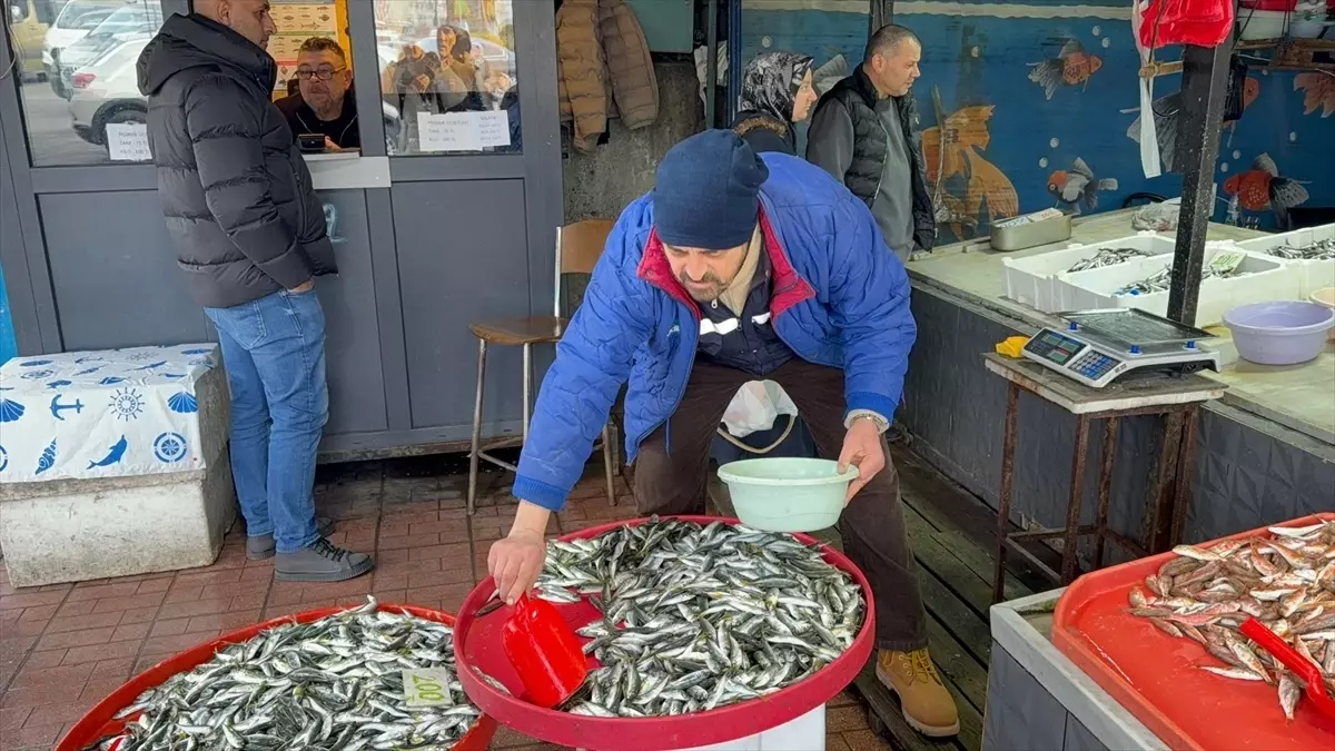 Zonguldak’ta Balık Fiyatları Yükseldi