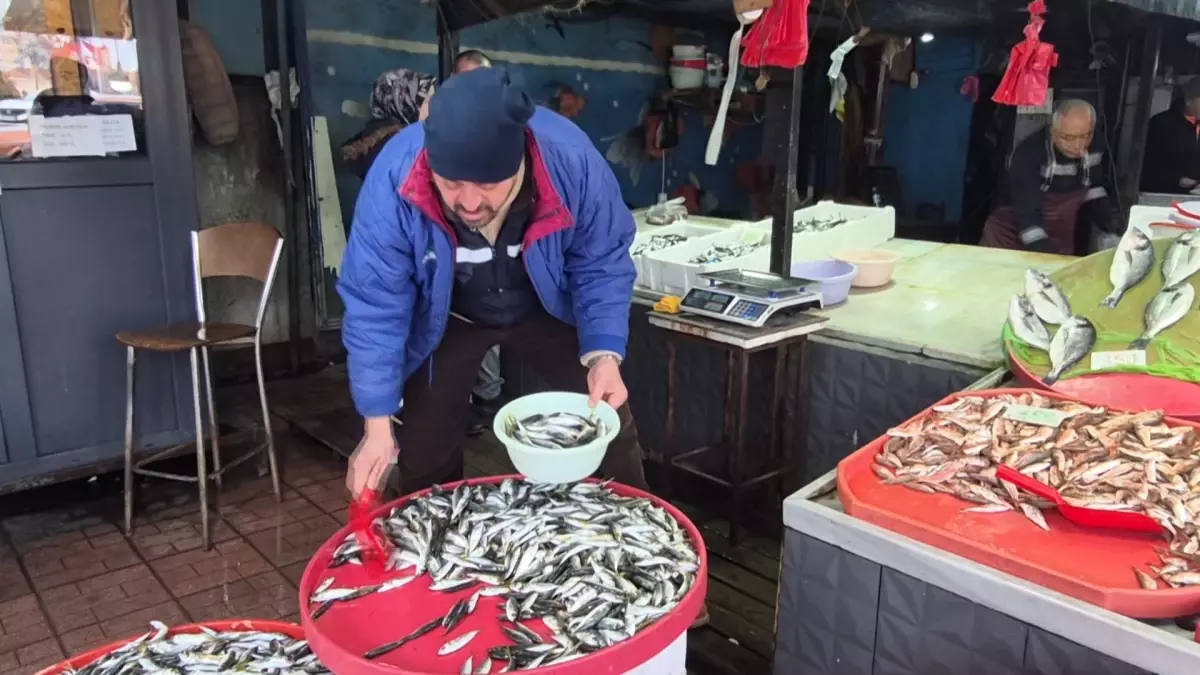 Zonguldak’ta Hava Koşulları Balıkçıları Vurdu