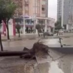 Adana’da fırtına ağaçları kökünden söktü