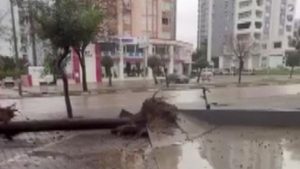 Adana’da fırtına ağaçları kökünden söktü