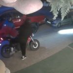Antalya’da kapıya 100 TL bıraktılar, 5 bin TL’lik pelüş ayıyı çaldılar