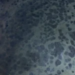 Avlan Gölü Yağışlarla Yeniden Dolu
