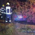 Aydın’da Ağaç Otomobilin Üzerine Devrildi