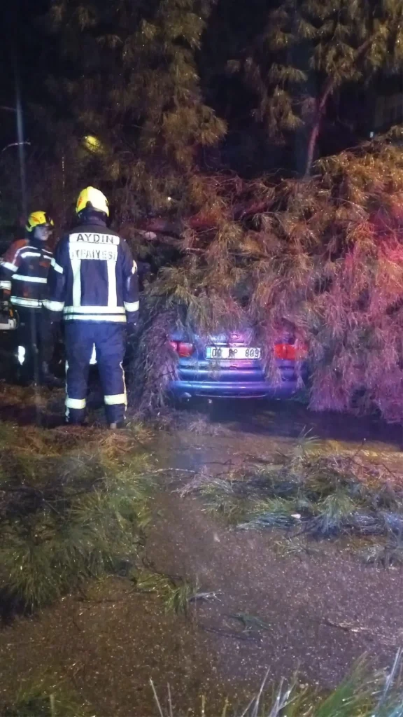 Aydın’da Ağaç Otomobilin Üzerine Devrildi