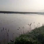 Aydın’da Taşkın: Tarım Alanları Su Altında