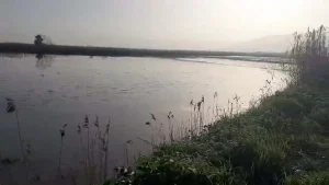 Aydın’da Taşkın: Tarım Alanları Su Altında