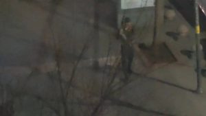 Batman’da uzun namlulu silahla rastgele ateş açan şüpheli tutuklandı