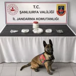 Birecik’te Uyuşturucu Operasyonu