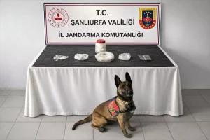 Birecik’te Uyuşturucu Operasyonu