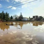 Bodrum’da selin tablosu gün ağarınca ortaya çıktı