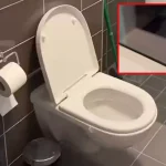 Bu tuvaletin manzarası sosyal medyayı salladı! Bilet kesilse tükenir