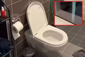 Bu tuvaletin manzarası sosyal medyayı salladı! Bilet kesilse tükenir