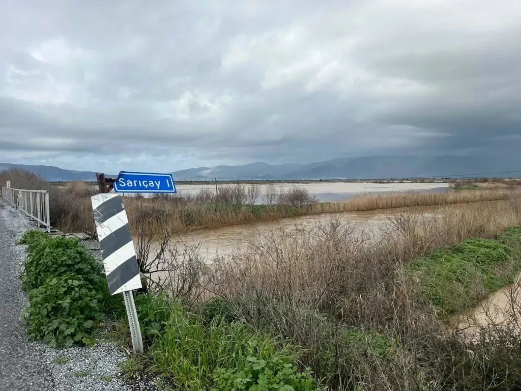 Büyük Menderes Nehri’nde Taşkın: Söke Ovası Sular Altında