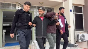 Buzağı Hırsızlığı: 4 Şüpheli Tutuklandı