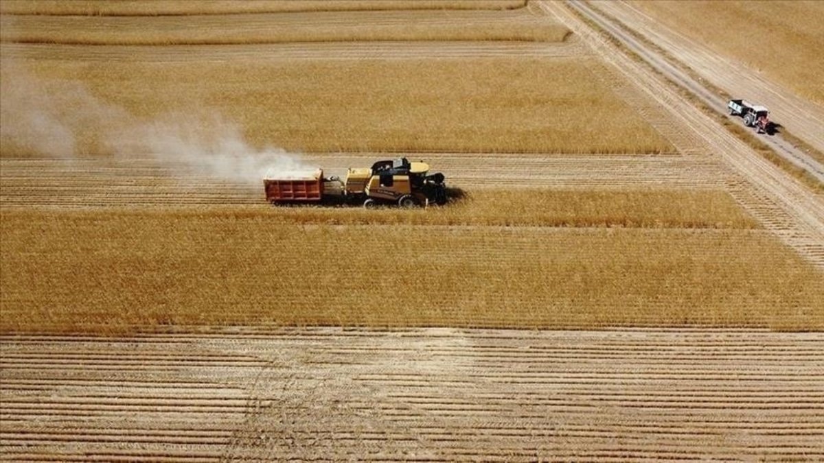 Çiftçilere 149,6 milyonluk ekonomik yardım bugün hesaplara yatırılıyor