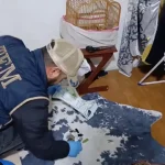 DEAŞ Operasyonunda 12 Tutuklama