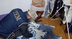 DEAŞ Operasyonunda 12 Tutuklama