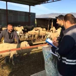 Denizli’de Hayvancılıkta Tarihi Başarılar