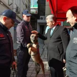 Deprem Bilinci Artırılıyor