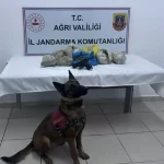 Doğubayazıt’ta Uyuşturucu Operasyonu